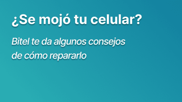 ¿Qué hacer si tu celular se moja? Consejos para repararlo
