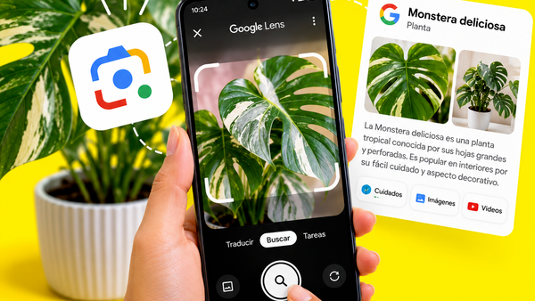 Google Lens: cómo buscar información usando imágenes