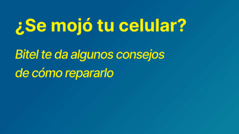 ¿Qué hacer si tu celular se moja? Consejos para repararlo