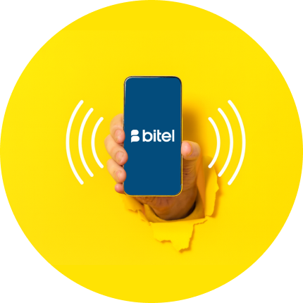 Volte Introduction section